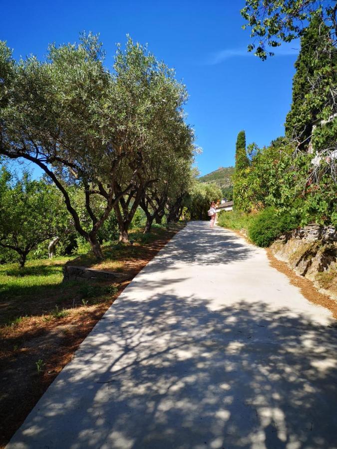 Villa Milanu Oletta  Bagian luar foto