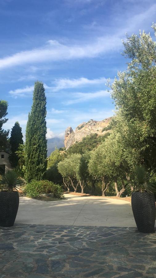 Villa Milanu Oletta  Bagian luar foto