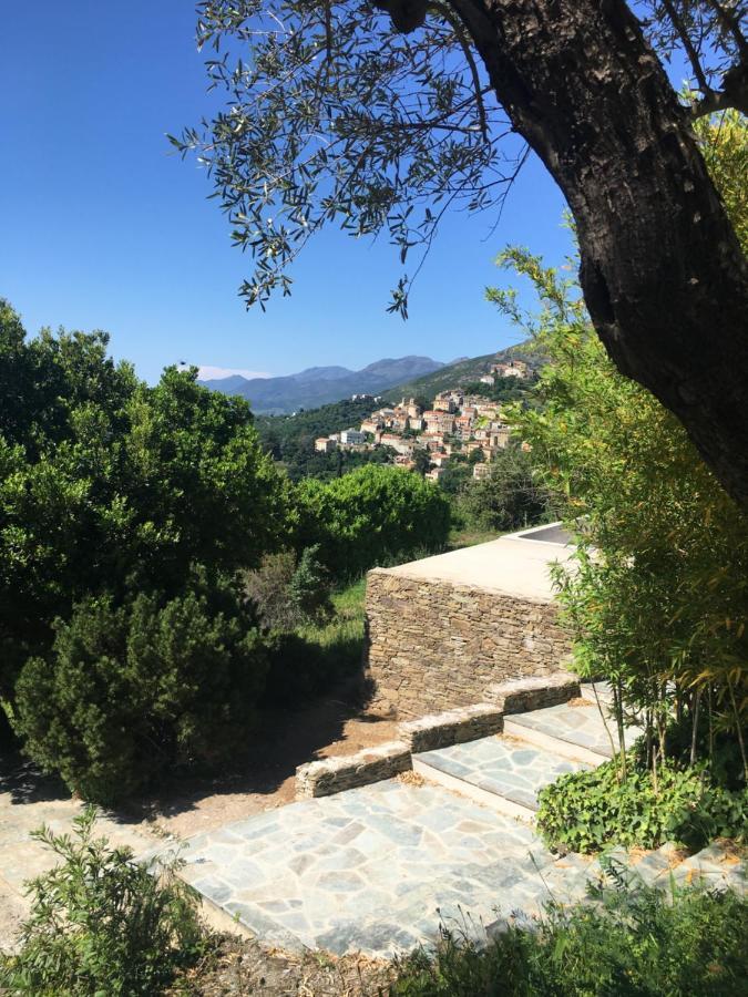 Villa Milanu Oletta  Bagian luar foto