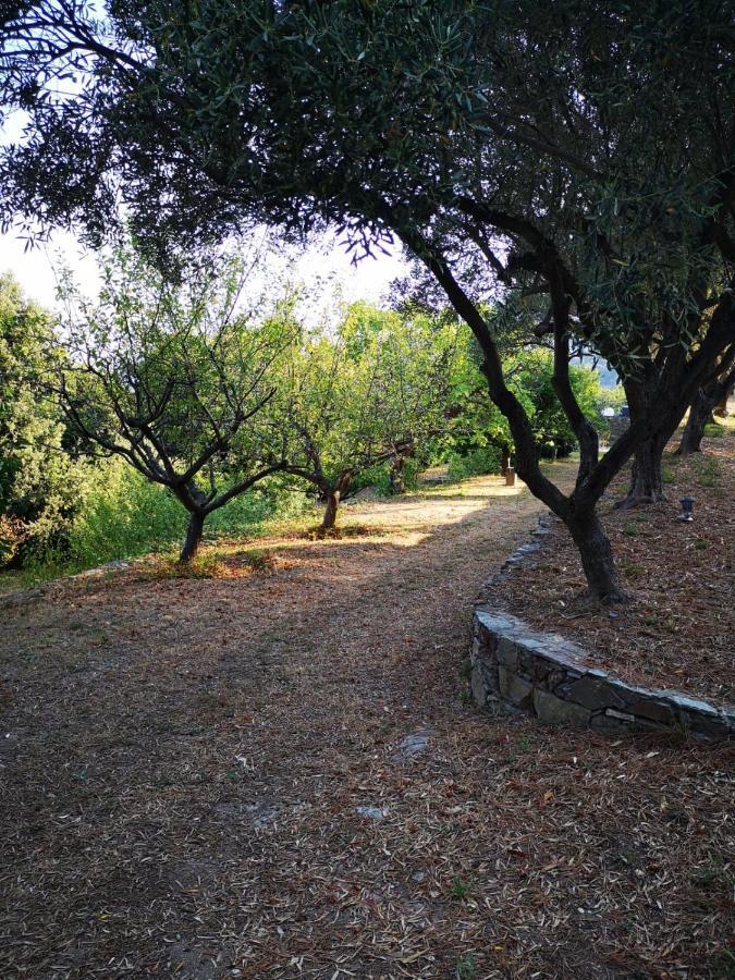 Villa Milanu Oletta  Bagian luar foto